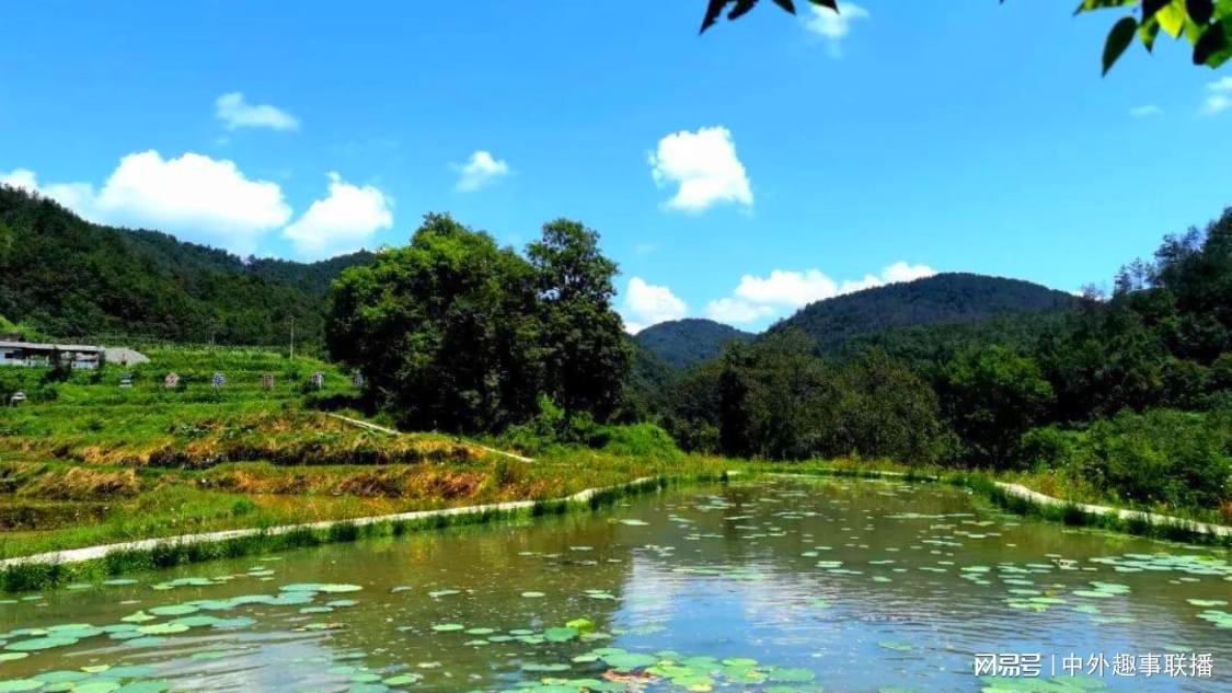 AI魔改视频仅需数元