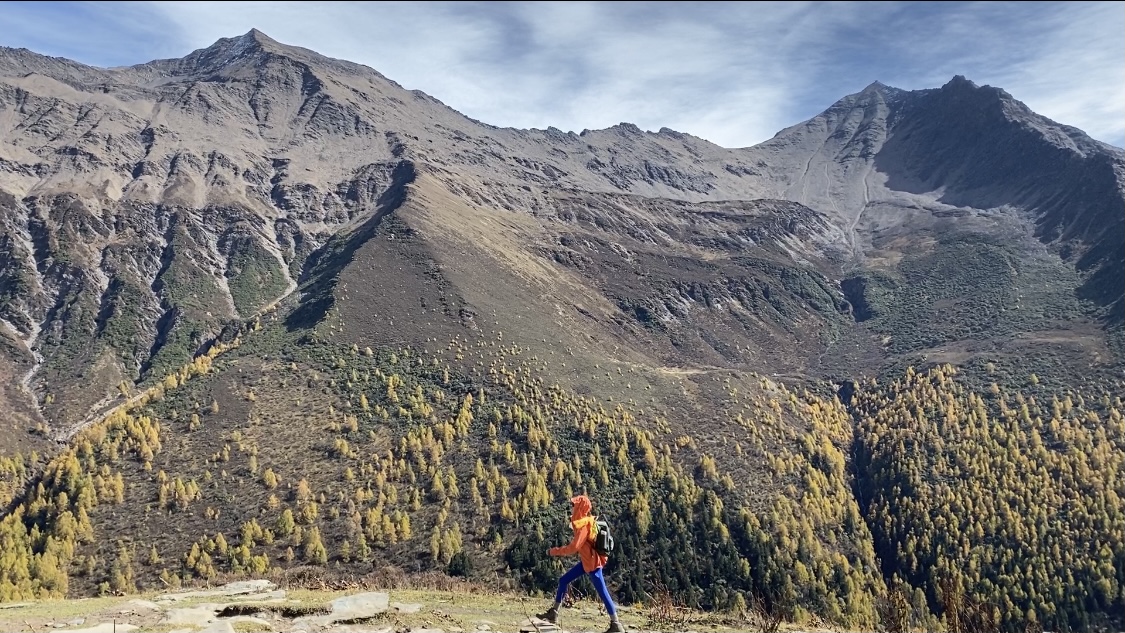 抖音双击自助下单平台直播：自媒体直播带货行业合规监管引发热议_点赞空间免费